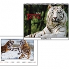 Настенный календарь 'Тигры' 485 х 340 мм, 8 листов, место для рекламы 485 х 40 мм, спираль